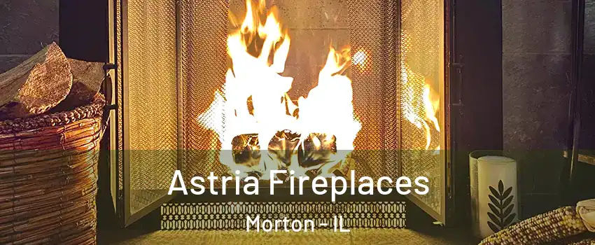  Astria Fireplaces Morton - IL