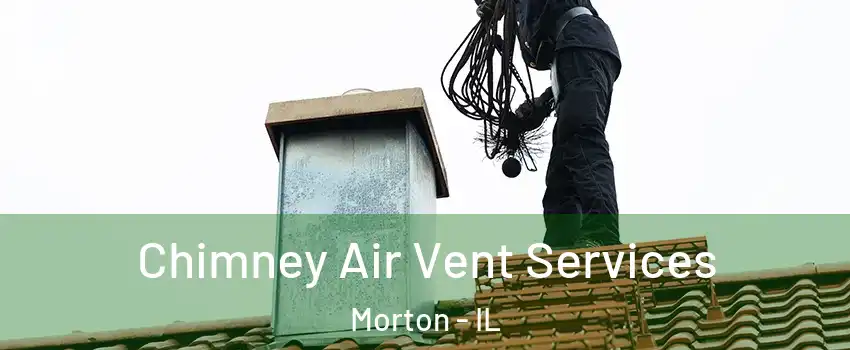  Chimney Air Vent Services Morton - IL
