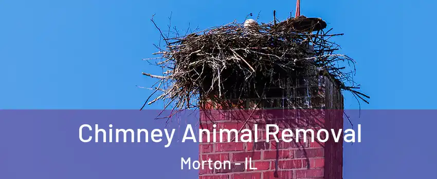 Chimney Animal Removal Morton - IL
