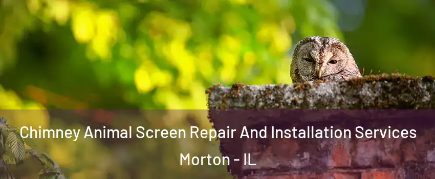  Chimney Animal Screen Repair And Installation Services Morton - IL