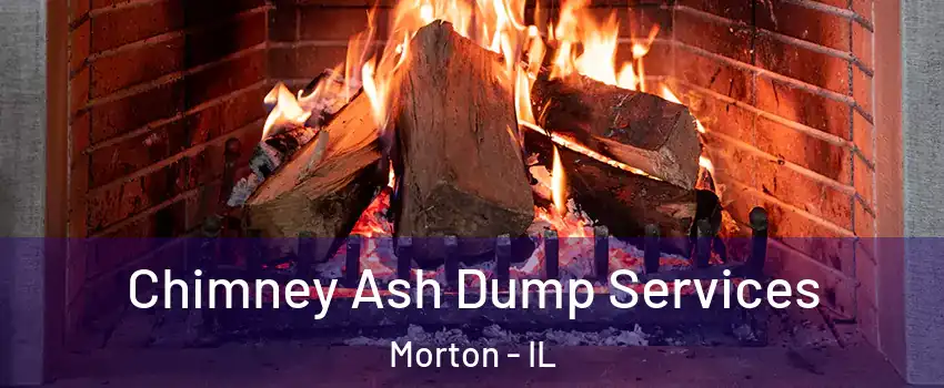  Chimney Ash Dump Services Morton - IL