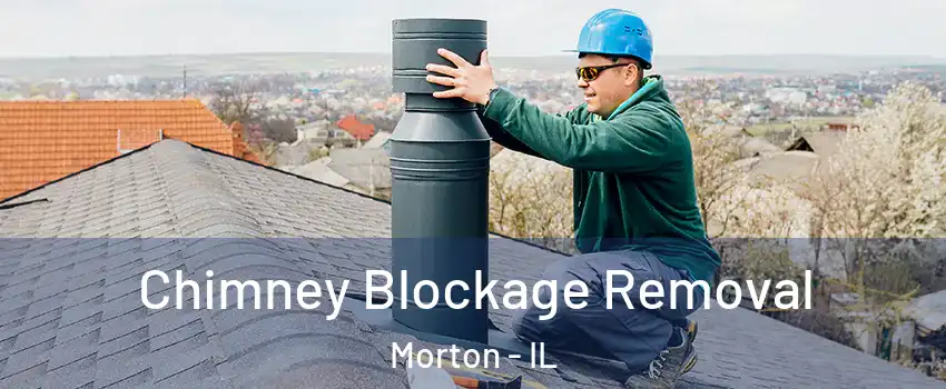  Chimney Blockage Removal Morton - IL