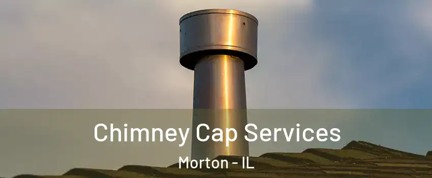 Chimney Cap Services Morton - IL