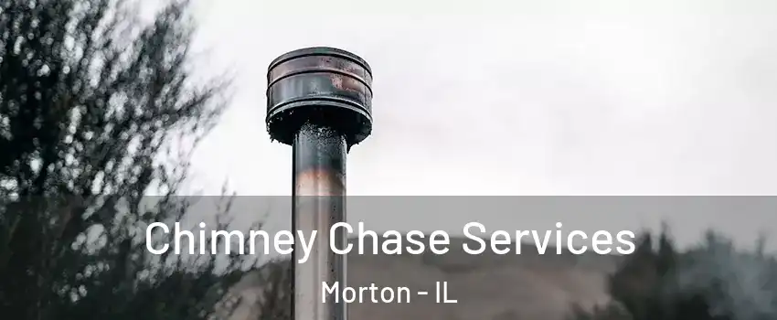  Chimney Chase Services Morton - IL