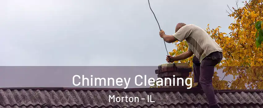  Chimney Cleaning Morton - IL