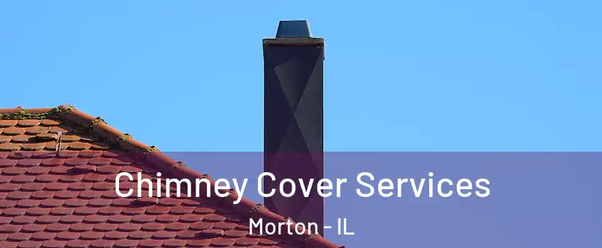  Chimney Cover Services Morton - IL