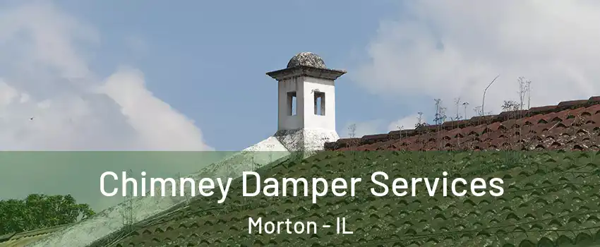 Chimney Damper Services Morton - IL