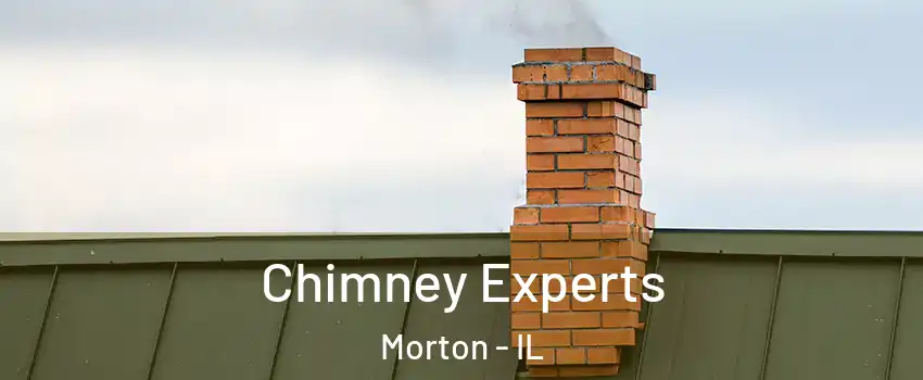 Chimney Experts Morton - IL