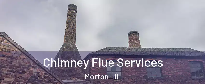 Chimney Flue Services Morton - IL
