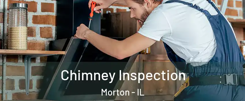 Chimney Inspection Morton - IL