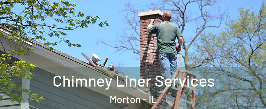 Chimney Liner Services Morton - IL