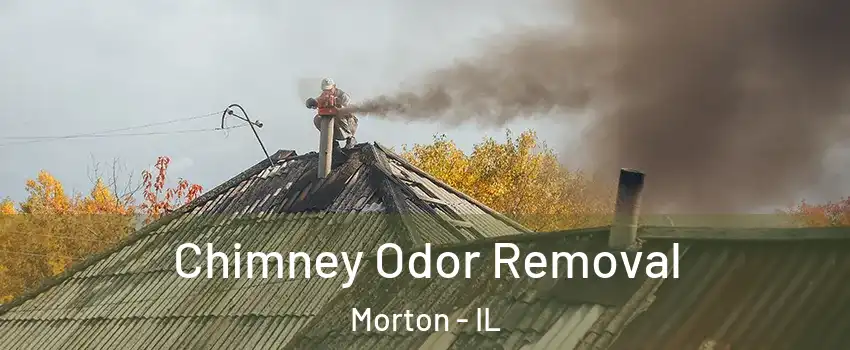  Chimney Odor Removal Morton - IL
