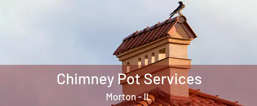  Chimney Pot Services Morton - IL