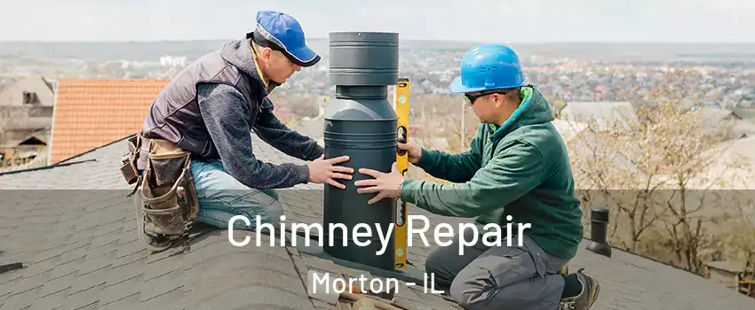Chimney Repair Morton - IL