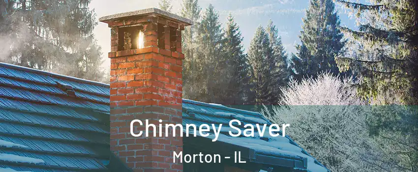 Chimney Saver Morton - IL