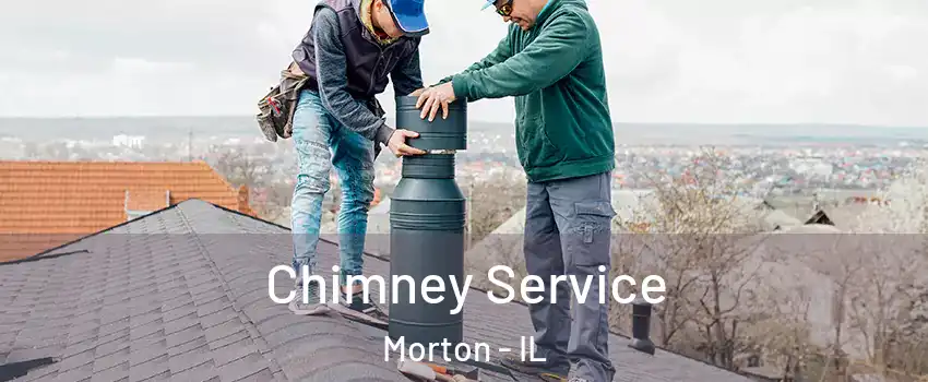  Chimney Service Morton - IL