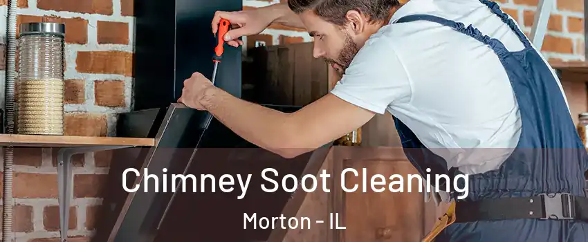 Chimney Soot Cleaning Morton - IL