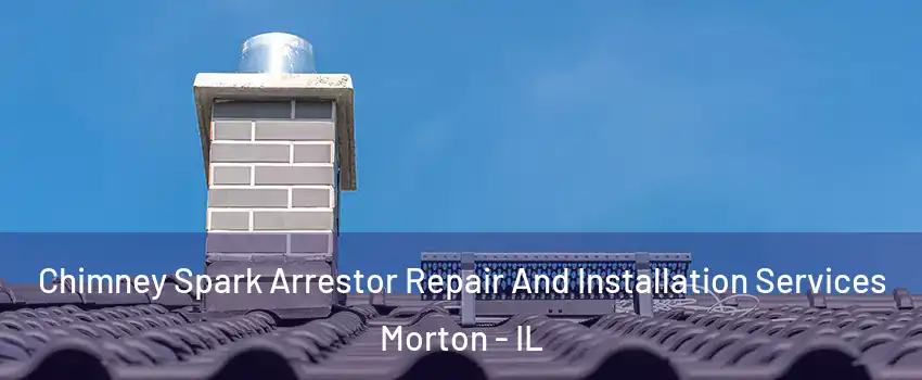 Chimney Spark Arrestor Repair And Installation Services Morton - IL