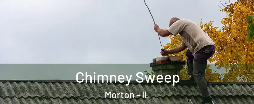  Chimney Sweep Morton - IL