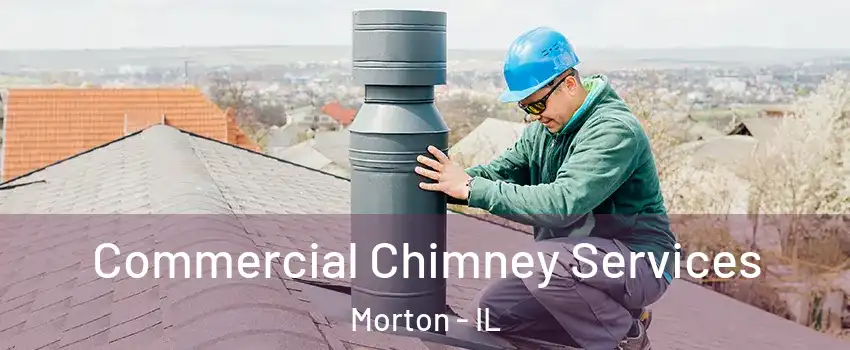 Commercial Chimney Services Morton - IL