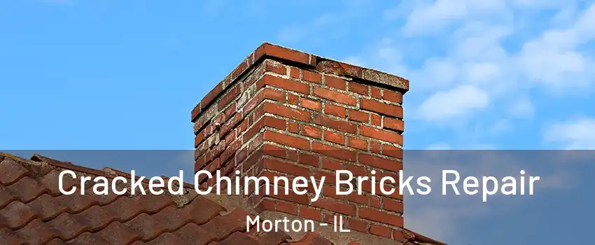 Cracked Chimney Bricks Repair Morton - IL