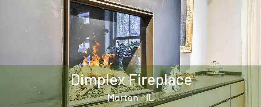 Dimplex Fireplace Morton - IL