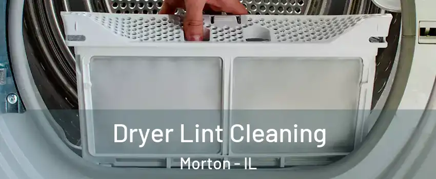 Dryer Lint Cleaning Morton - IL