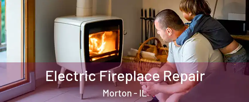 Electric Fireplace Repair Morton - IL