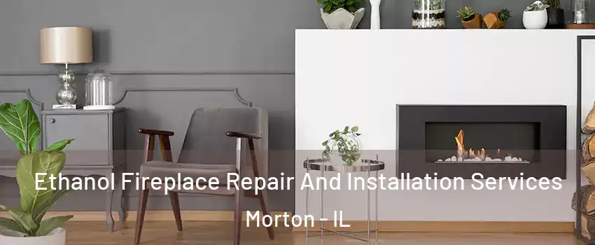  Ethanol Fireplace Repair And Installation Services Morton - IL