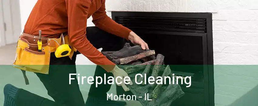 Fireplace Cleaning Morton - IL