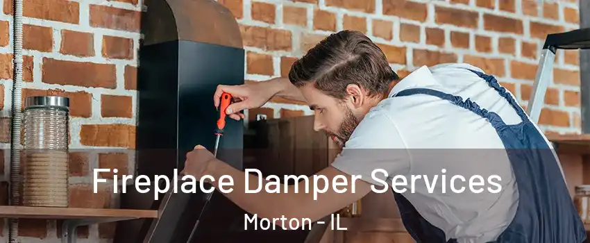  Fireplace Damper Services Morton - IL