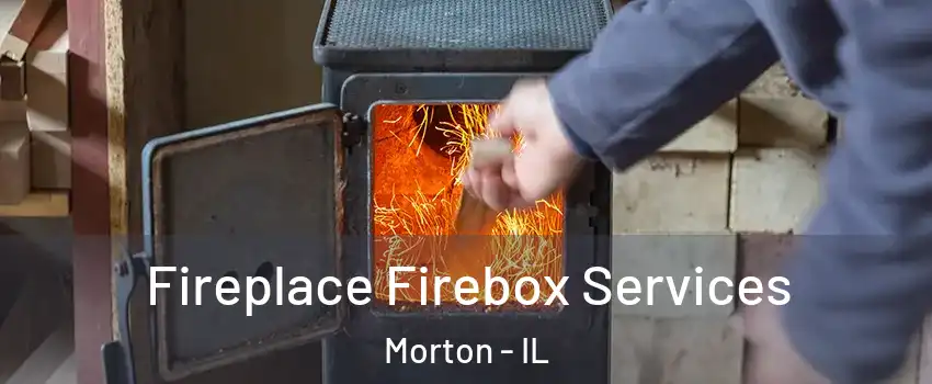 Fireplace Firebox Services Morton - IL