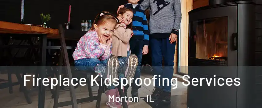 Fireplace Kidsproofing Services Morton - IL
