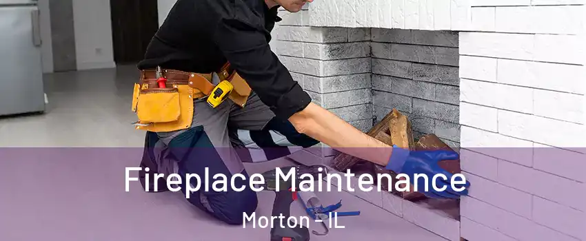  Fireplace Maintenance Morton - IL