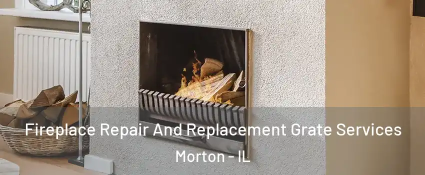 Fireplace Repair And Replacement Grate Services Morton - IL