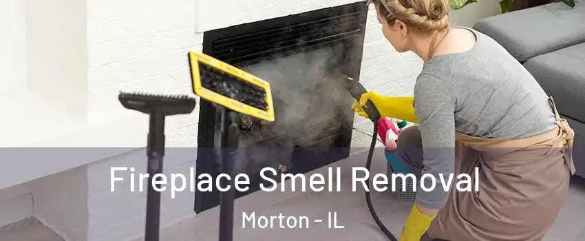 Fireplace Smell Removal Morton - IL
