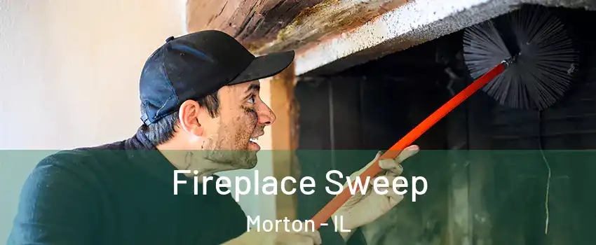 Fireplace Sweep Morton - IL