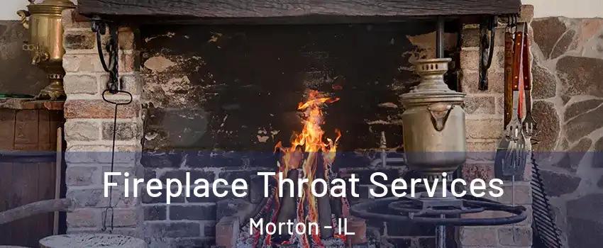 Fireplace Throat Services Morton - IL