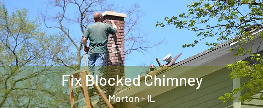 Fix Blocked Chimney Morton - IL