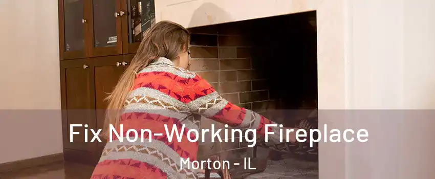 Fix Non-Working Fireplace Morton - IL