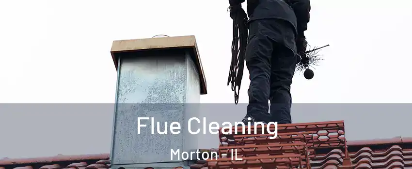 Flue Cleaning Morton - IL