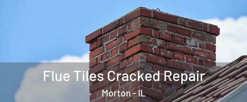 Flue Tiles Cracked Repair Morton - IL