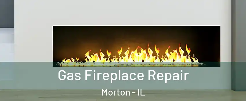  Gas Fireplace Repair Morton - IL