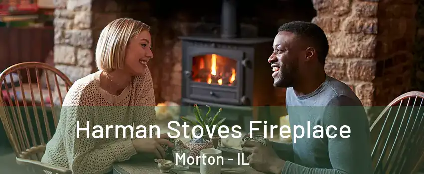  Harman Stoves Fireplace Morton - IL