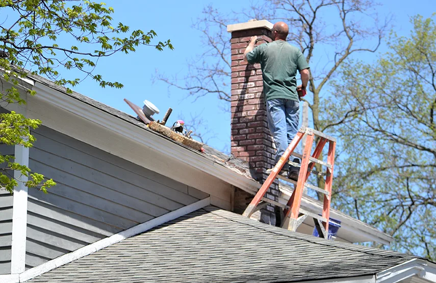 Chimney & Fireplace Inspections Services in Morton, IL