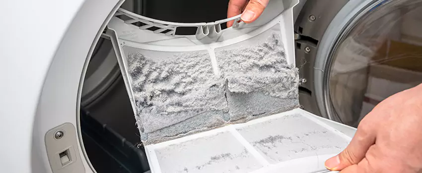 Best Dryer Lint Removal Company in Morton, Illinois