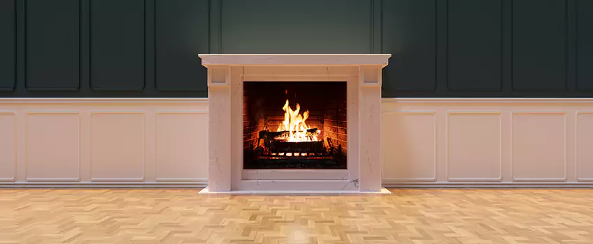 Napoleon Electric Fireplaces Inspection Service in Morton, Illinois