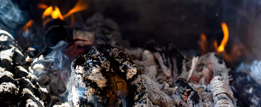 Creosote Removal Experts in Morton, IL