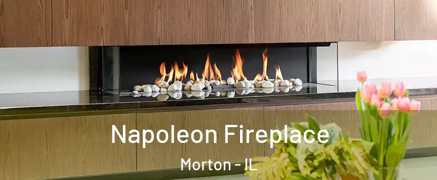  Napoleon Fireplace Morton - IL