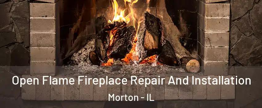 Open Flame Fireplace Repair And Installation Morton - IL